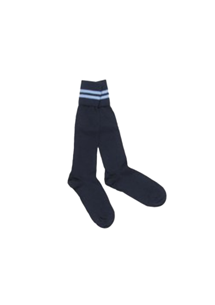 St Anne's Manurewa School Boys Sock Navy/Sky